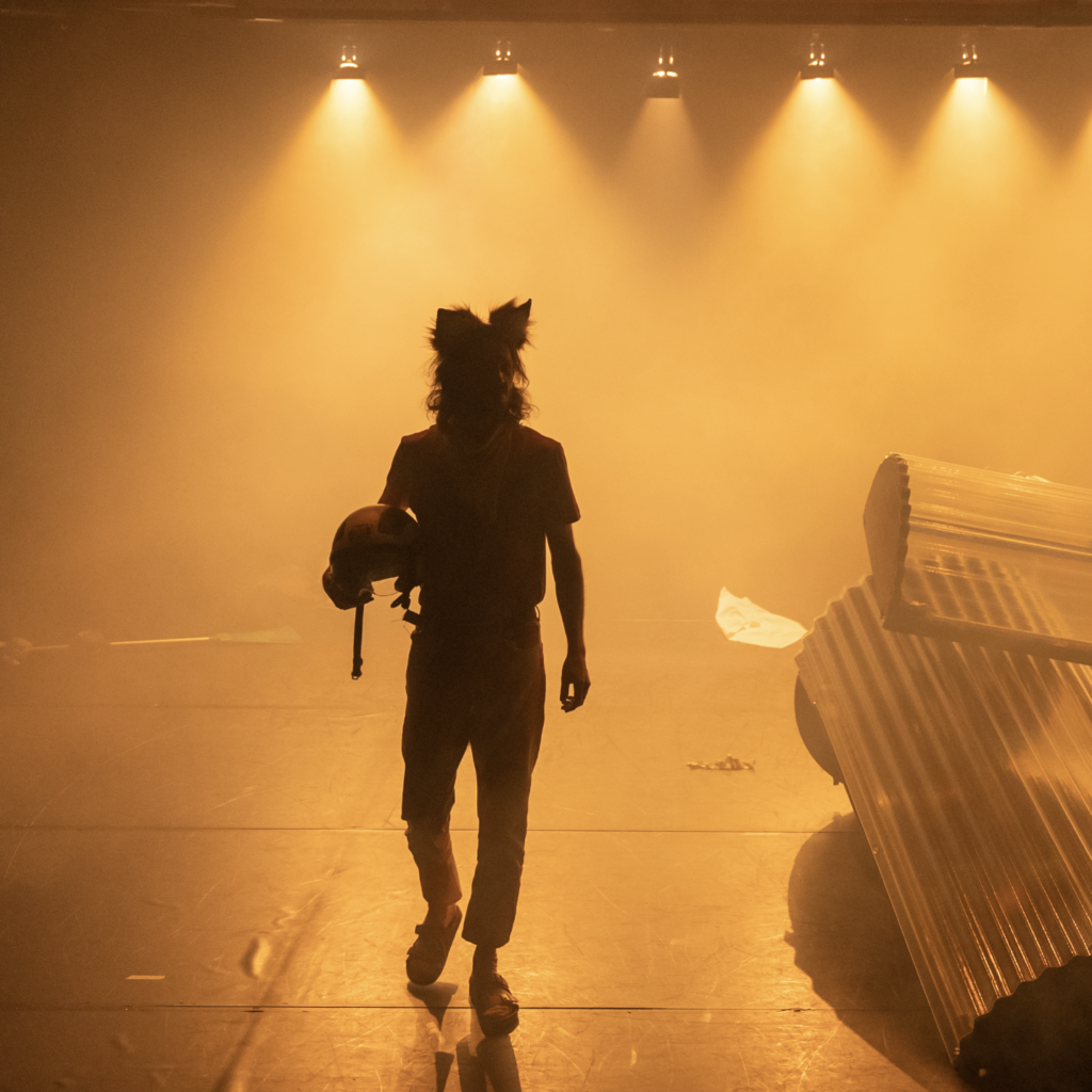 webfoto saltomortale